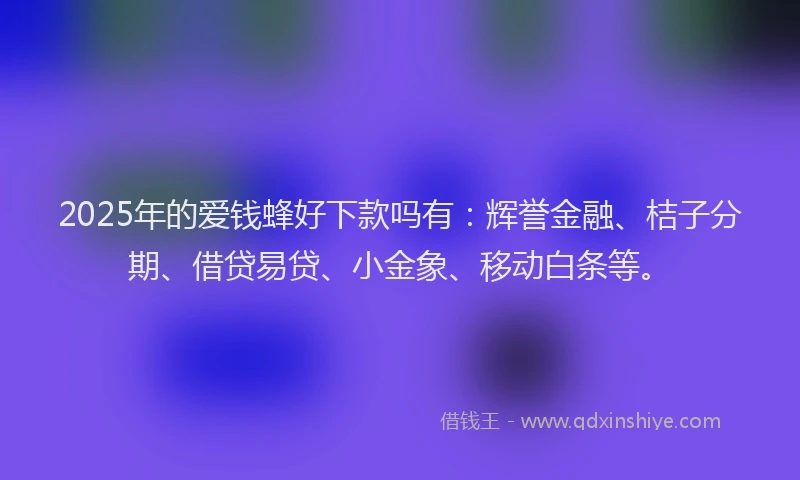 2025年的爱钱蜂好下款吗有：辉誉金融、桔子分期、借贷易贷、小金象、移动白条等。