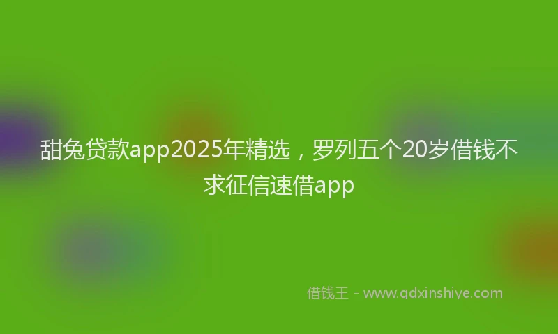 甜兔贷款app2025年精选，罗列五个20岁借钱不求征信速借app