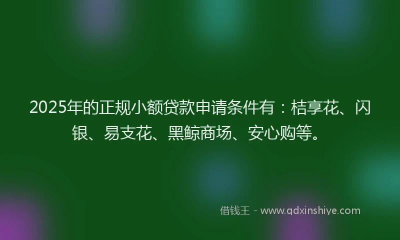 2025年的正规小额贷款申请条件有：桔享花、闪银、易支花、黑鲸商场、安心购等。