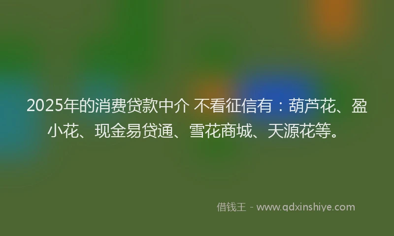2025年的消费贷款中介 不看征信有：葫芦花、盈小花、现金易贷通、雪花商城、天源花等。