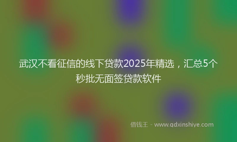 武汉不看征信的线下贷款2025年精选，汇总5个秒批无面签贷款软件