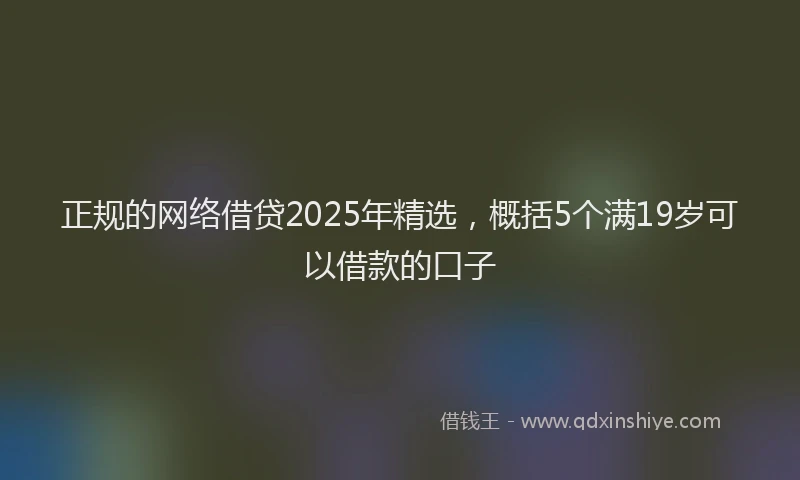 正规的网络借贷2025年精选，概括5个满19岁可以借款的口子