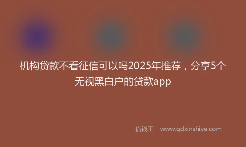 机构贷款不看征信可以吗2025年推荐，分享5个无视黑白户的贷款app