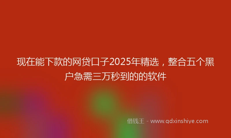现在能下款的网贷口子2025年精选，整合五个黑户急需三万秒到的的软件