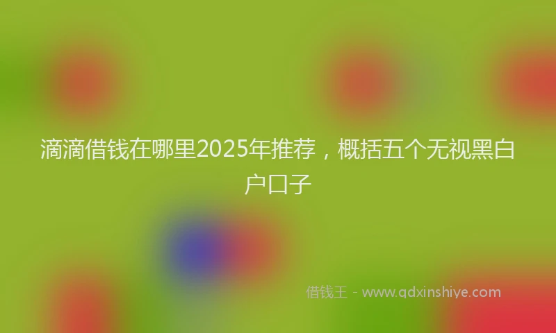 滴滴借钱在哪里2025年推荐，概括五个无视黑白户口子
