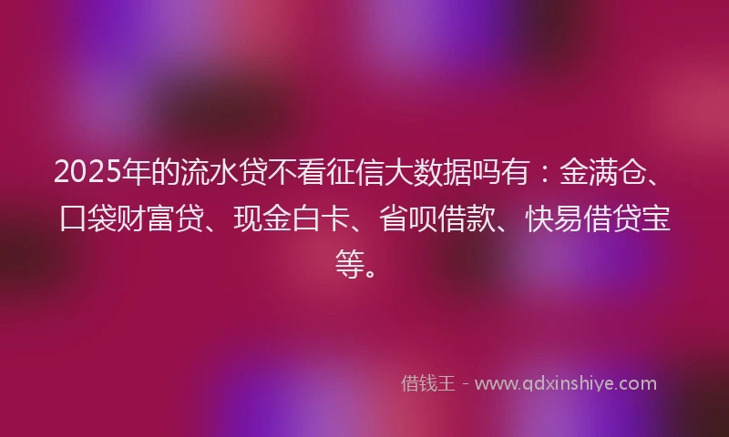 2025年的流水贷不看征信大数据吗有：金满仓、口袋财富贷、现金白卡、省呗借款、快易借贷宝等。