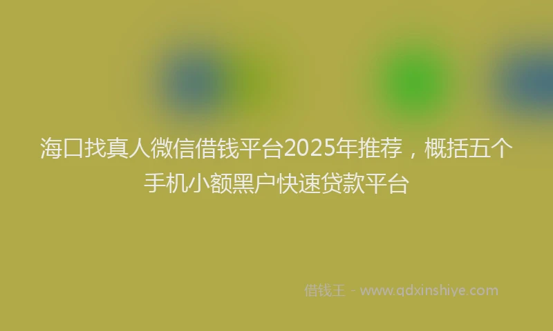 海口找真人微信借钱平台2025年推荐，概括五个手机小额黑户快速贷款平台