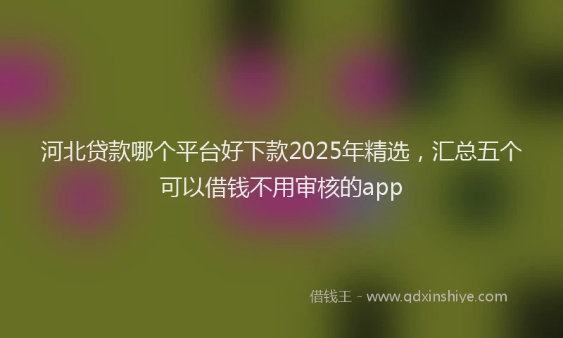 河北贷款哪个平台好下款2025年精选，汇总五个可以借钱不用审核的app