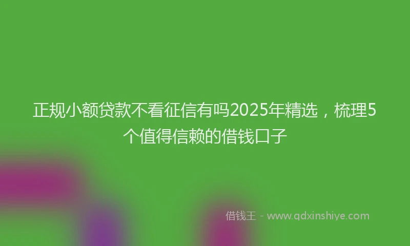 正规小额贷款不看征信有吗2025年精选，梳理5个值得信赖的借钱口子
