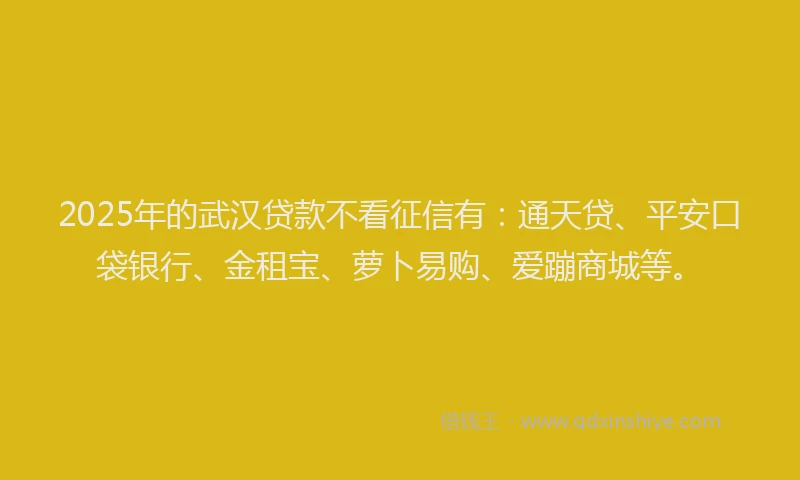 2025年的武汉贷款不看征信有：通天贷、平安口袋银行、金租宝、萝卜易购、爱蹦商城等。