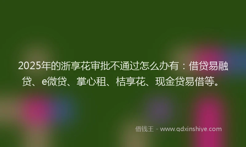 2025年的浙享花审批不通过怎么办有：借贷易融贷、e微贷、掌心租、桔享花、现金贷易借等。