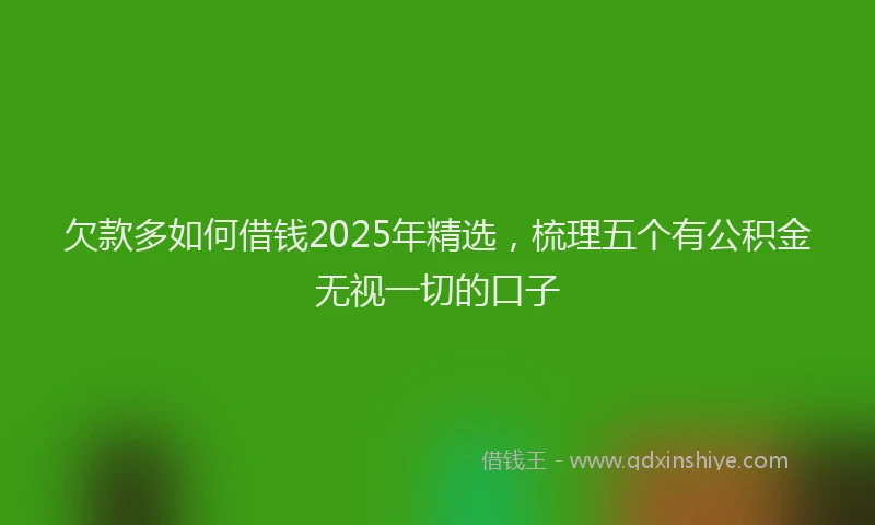 欠款多如何借钱2025年精选，梳理五个有公积金无视一切的口子