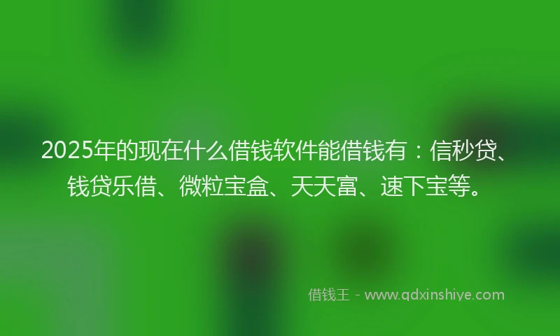 2025年的现在什么借钱软件能借钱有：信秒贷、钱贷乐借、微粒宝盒、天天富、速下宝等。