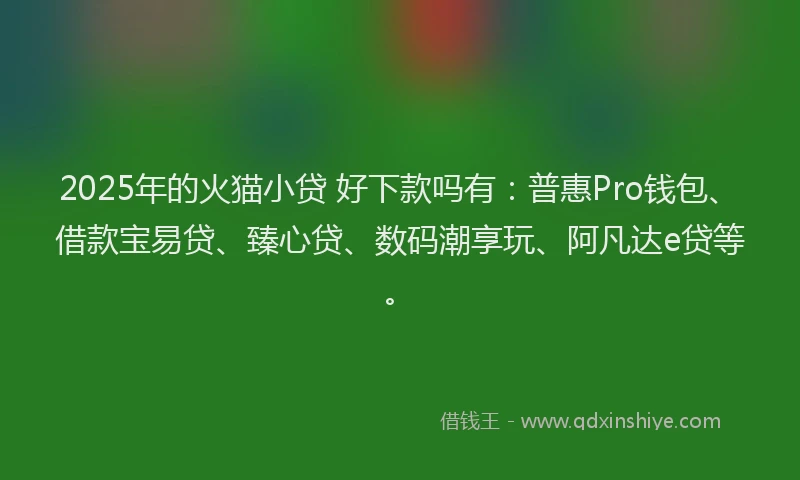 2025年的火猫小贷 好下款吗有：普惠Pro钱包、借款宝易贷、臻心贷、数码潮享玩、阿凡达e贷等。