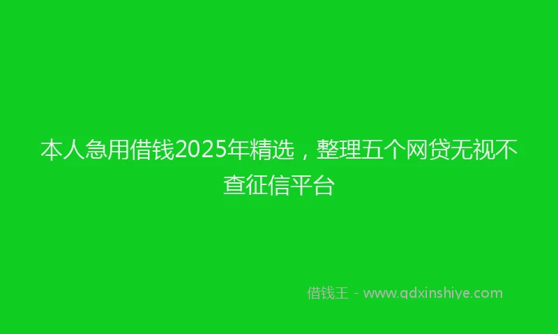 本人急用借钱2025年精选，整理五个网贷无视不查征信平台
