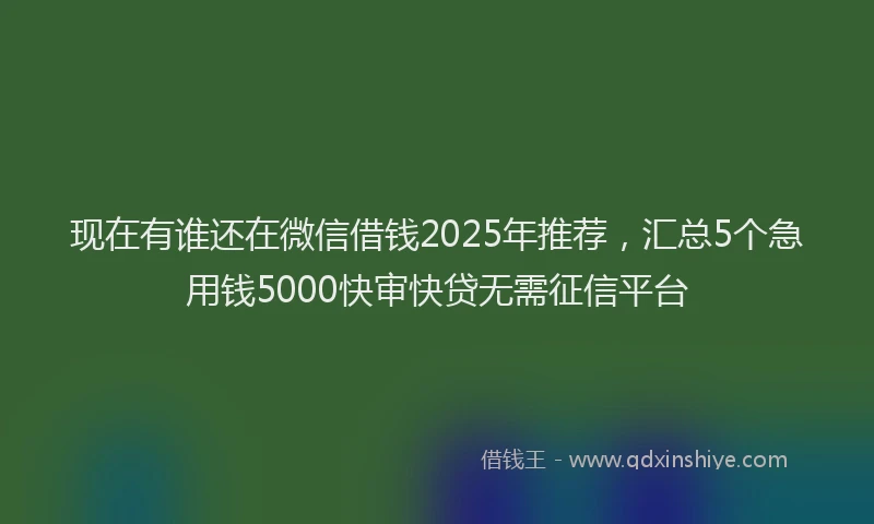 现在有谁还在微信借钱2025年推荐，汇总5个急用钱5000快审快贷无需征信平台