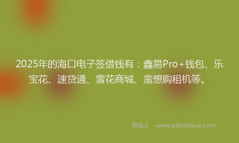 2025年的海口电子签借钱有：鑫易Pro+钱包、乐宝花、速贷通、雪花商城、蛮想购租机等。