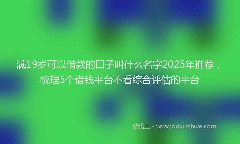 满19岁可以借款的口子叫什么名字2025年推荐，梳理5个借钱平台不看综合评估的平台