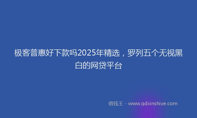 极客普惠好下款吗2025年精选，罗列五个无视黑白的网贷平台