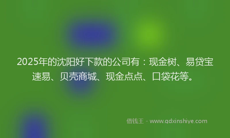 2025年的沈阳好下款的公司有：现金树、易贷宝速易、贝壳商城、现金点点、口袋花等。