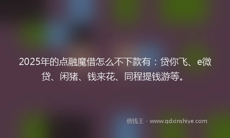 2025年的点融魔借怎么不下款有：贷你飞、e微贷、闲猪、钱来花、同程提钱游等。