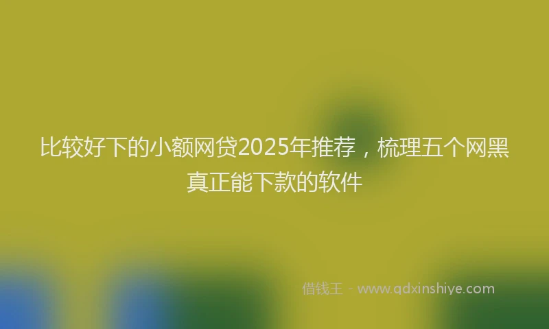 比较好下的小额网贷2025年推荐，梳理五个网黑真正能下款的软件