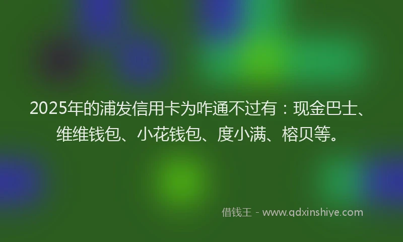 2025年的浦发信用卡为咋通不过有：现金巴士、维维钱包、小花钱包、度小满、榕贝等。