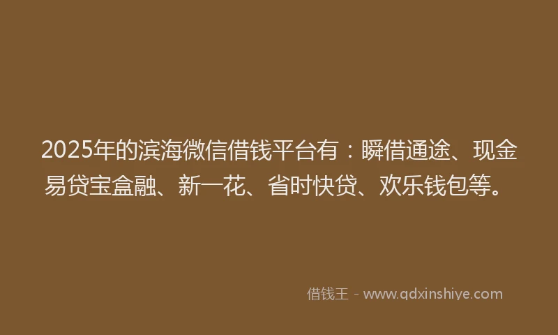 2025年的滨海微信借钱平台有：瞬借通途、现金易贷宝盒融、新一花、省时快贷、欢乐钱包等。