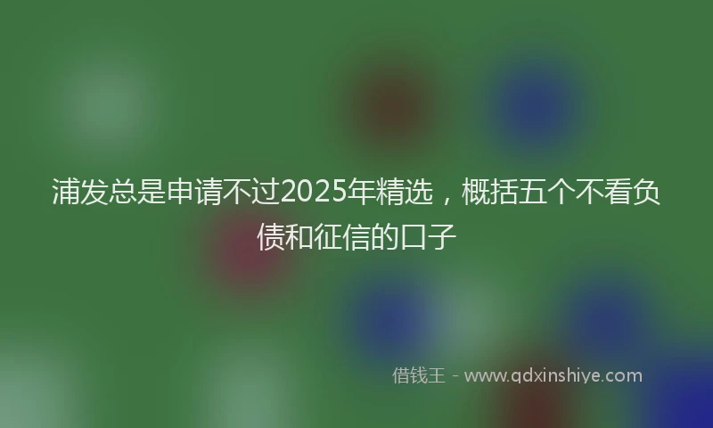浦发总是申请不过2025年精选，概括五个不看负债和征信的口子