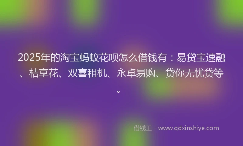 2025年的淘宝蚂蚁花呗怎么借钱有：易贷宝速融、桔享花、双喜租机、永卓易购、贷你无忧贷等。