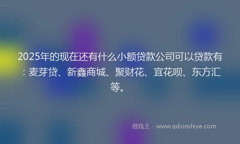 2025年的现在还有什么小额贷款公司可以贷款有：麦芽贷、新鑫商城、聚财花、宜花呗、东方汇等。