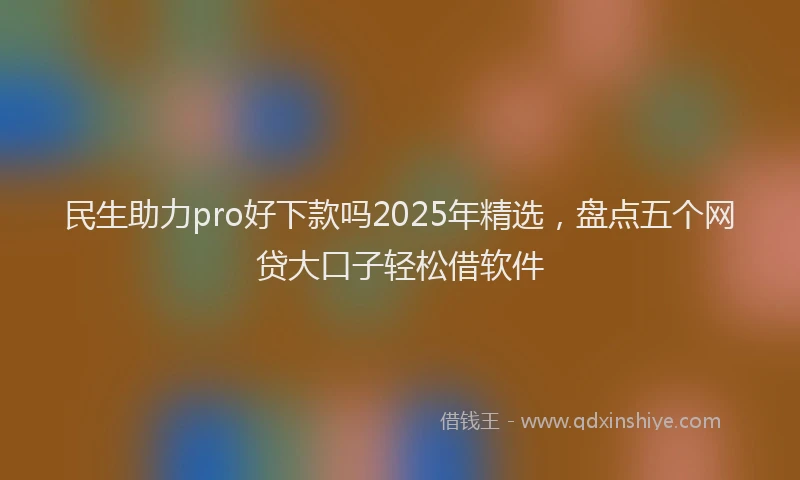 民生助力pro好下款吗2025年精选，盘点五个网贷大口子轻松借软件
