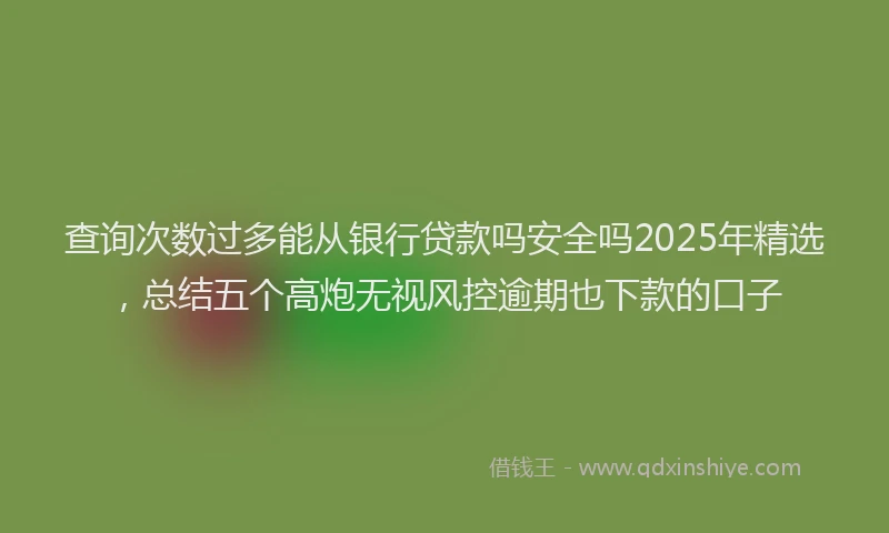查询次数过多能从银行贷款吗安全吗2025年精选，总结五个高炮无视风控逾期也下款的口子