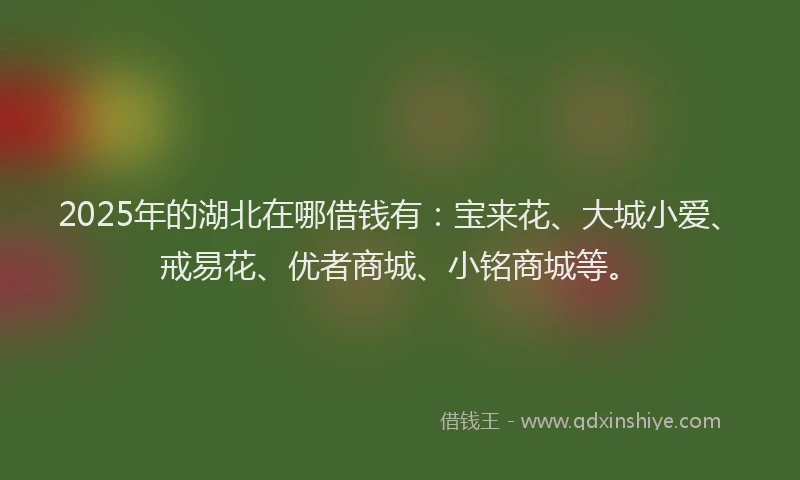 2025年的湖北在哪借钱有：宝来花、大城小爱、戒易花、优者商城、小铭商城等。