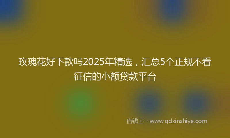 玫瑰花好下款吗2025年精选，汇总5个正规不看征信的小额贷款平台