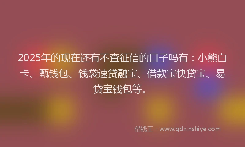 2025年的现在还有不查征信的口子吗有：小熊白卡、甄钱包、钱袋速贷融宝、借款宝快贷宝、易贷宝钱包等。
