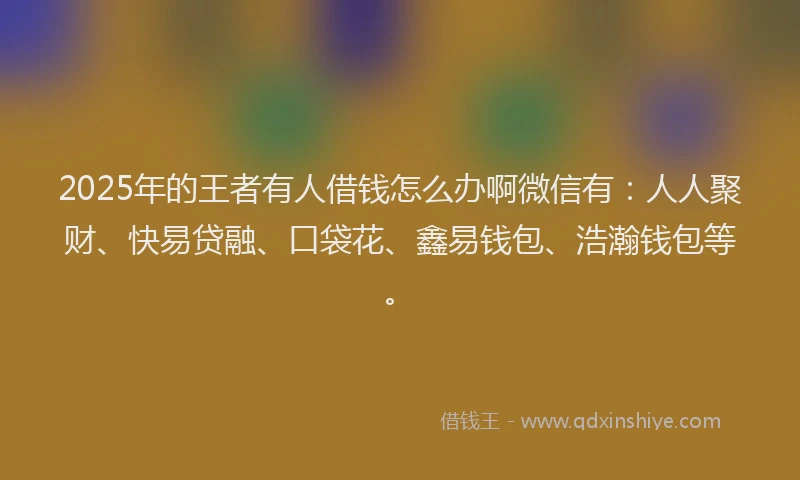 2025年的王者有人借钱怎么办啊微信有：人人聚财、快易贷融、口袋花、鑫易钱包、浩瀚钱包等。