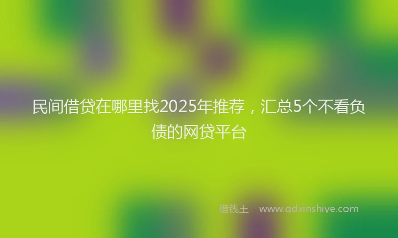 民间借贷在哪里找2025年推荐，汇总5个不看负债的网贷平台