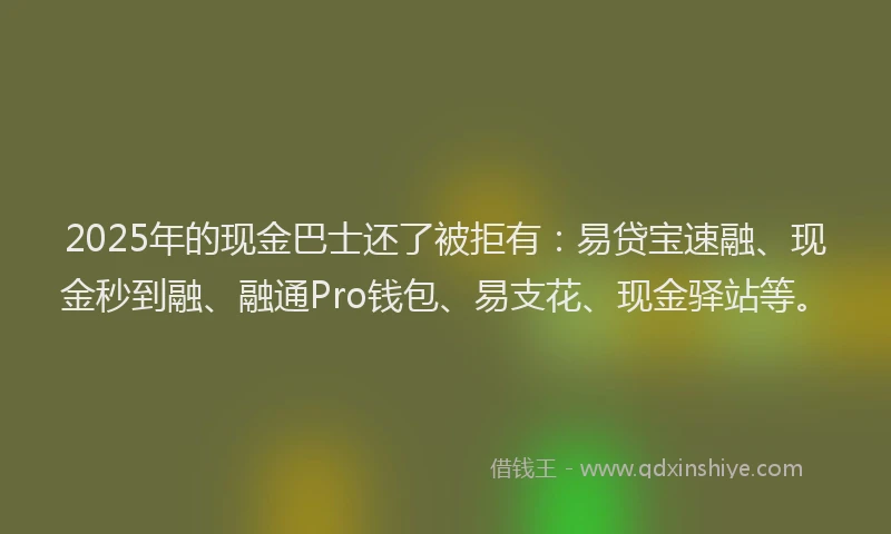 2025年的现金巴士还了被拒有：易贷宝速融、现金秒到融、融通Pro钱包、易支花、现金驿站等。