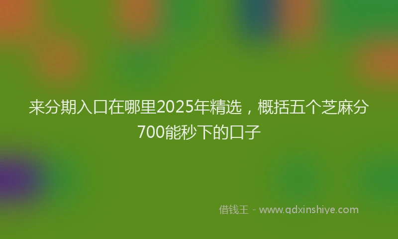 来分期入口在哪里2025年精选，概括五个芝麻分700能秒下的口子