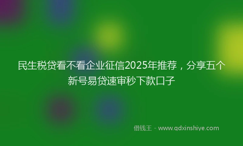 民生税贷看不看企业征信2025年推荐，分享五个新号易贷速审秒下款口子