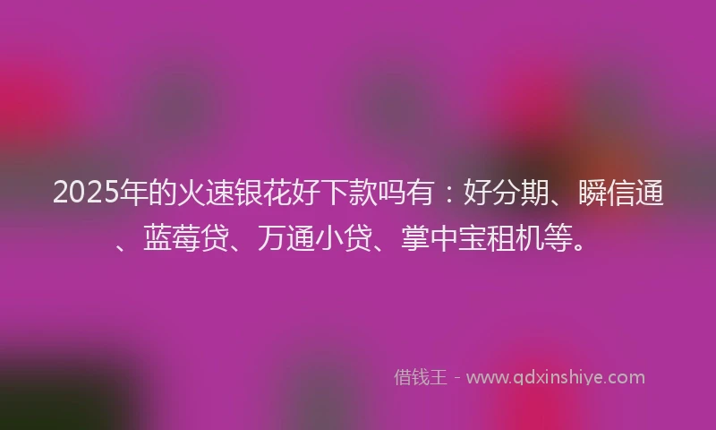2025年的火速银花好下款吗有：好分期、瞬信通、蓝莓贷、万通小贷、掌中宝租机等。