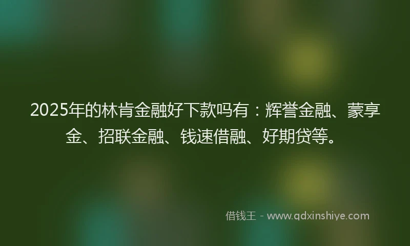 2025年的林肯金融好下款吗有：辉誉金融、蒙享金、招联金融、钱速借融、好期贷等。