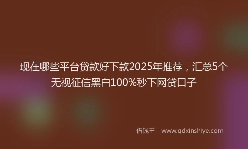 现在哪些平台贷款好下款2025年推荐，汇总5个无视征信黑白100%秒下网贷口子