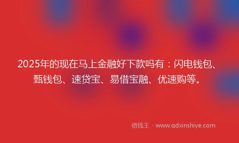 2025年的现在马上金融好下款吗有：闪电钱包、甄钱包、速贷宝、易借宝融、优速购等。