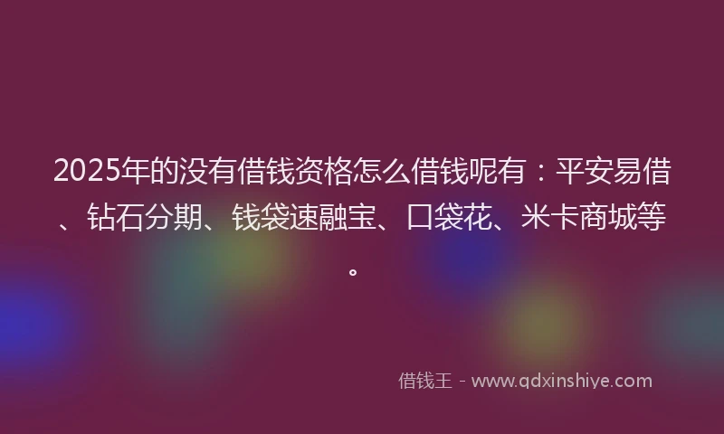 2025年的没有借钱资格怎么借钱呢有：平安易借、钻石分期、钱袋速融宝、口袋花、米卡商城等。