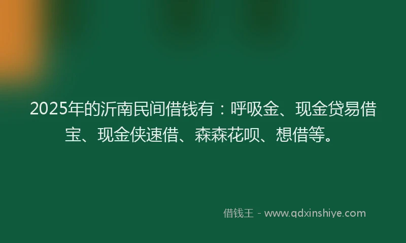 2025年的沂南民间借钱有：呼吸金、现金贷易借宝、现金侠速借、森森花呗、想借等。