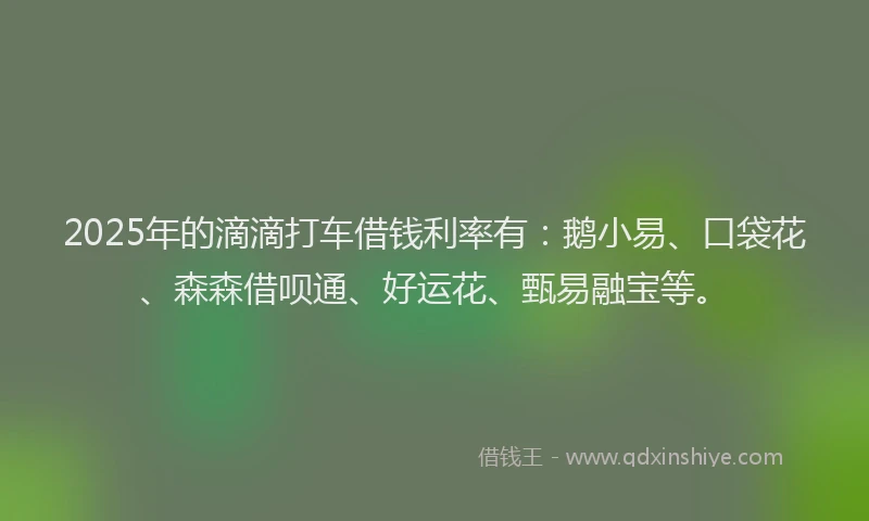 2025年的滴滴打车借钱利率有：鹅小易、口袋花、森森借呗通、好运花、甄易融宝等。