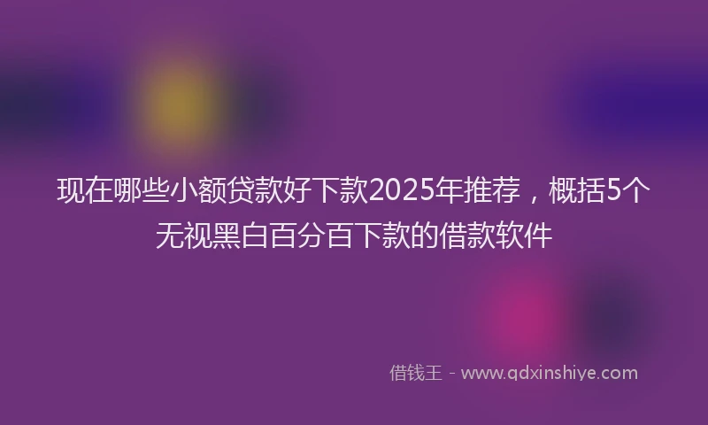 现在哪些小额贷款好下款2025年推荐，概括5个无视黑白百分百下款的借款软件