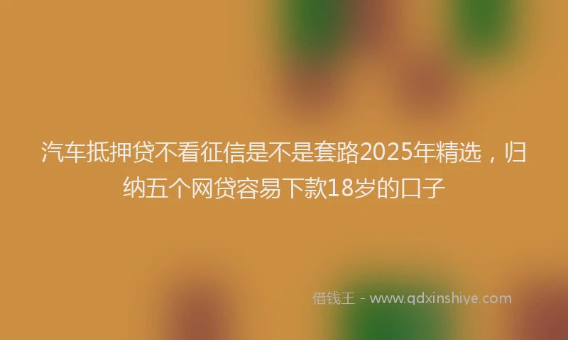 汽车抵押贷不看征信是不是套路2025年精选，归纳五个网贷容易下款18岁的口子